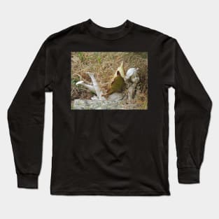 Churchyard Fairy Long Sleeve T-Shirt